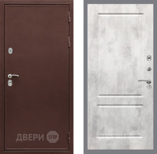 Дверь Рекс (REX) 5 металл 3 мм FL-117 Бетон светлый